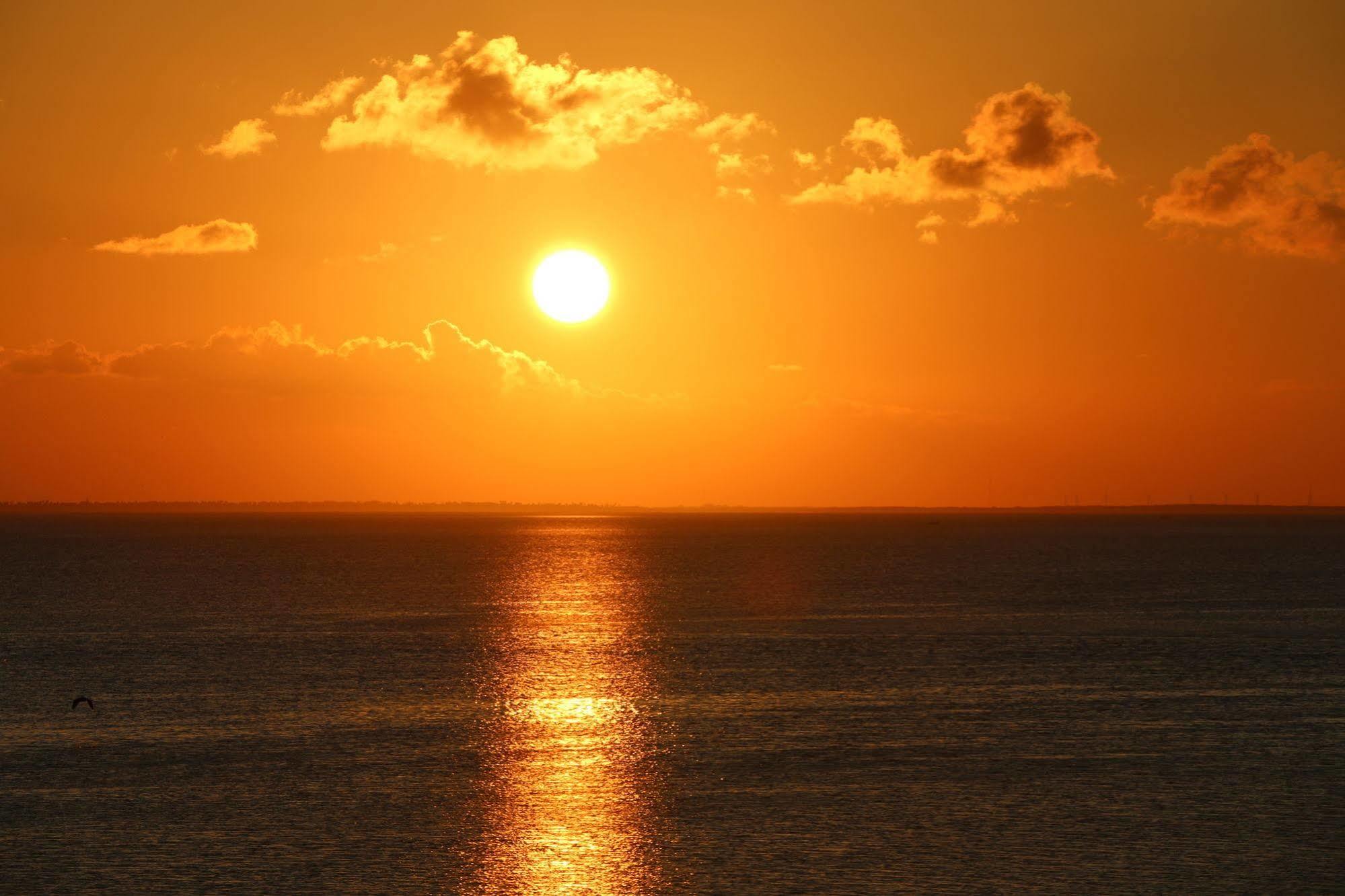 Blue Bay Inn And Suites South Padre Island Buitenkant foto